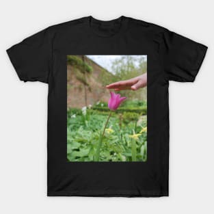 Red Tulip flower and kids hand T-Shirt